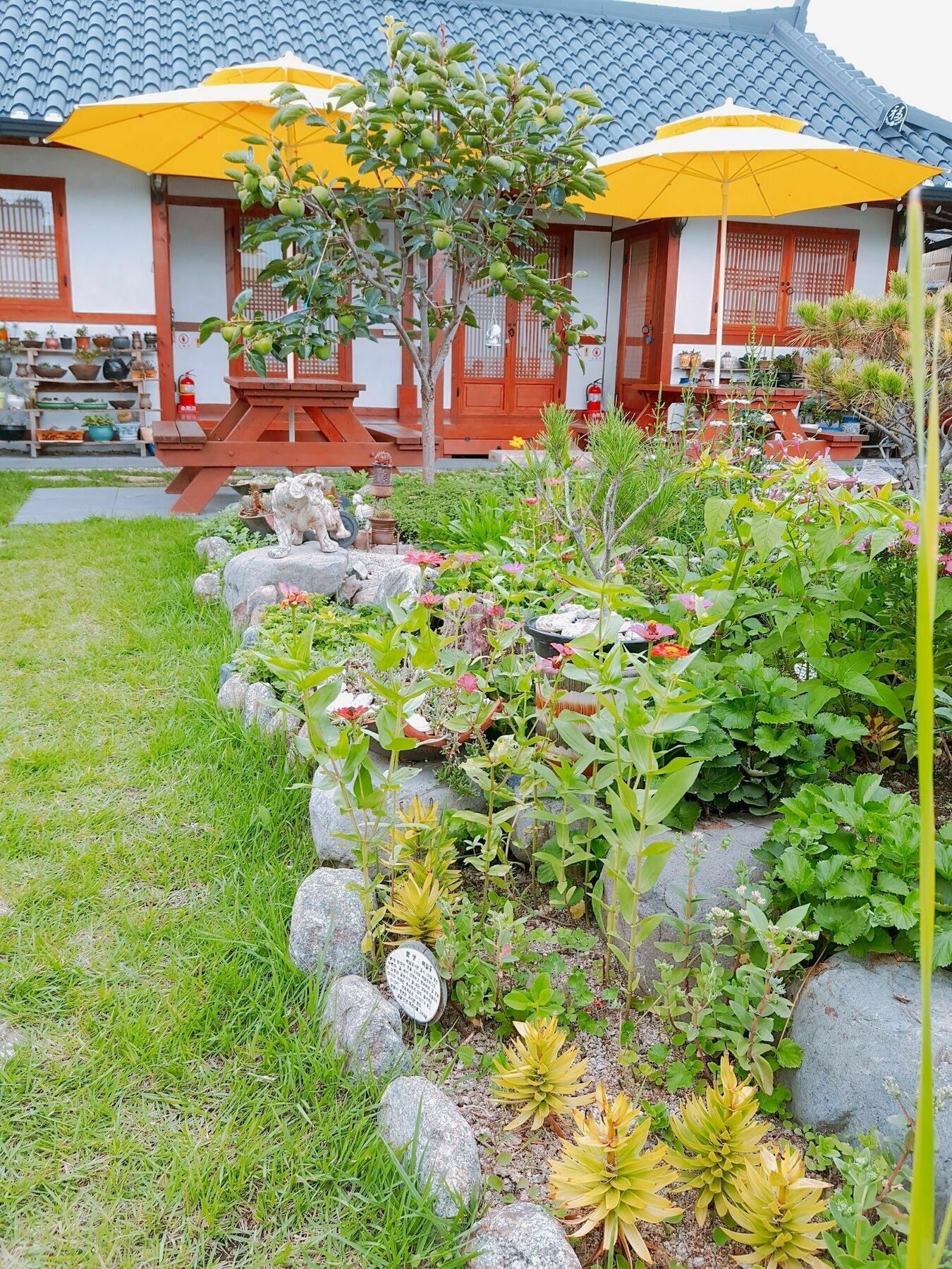 Hanok Raon Кьонджу Екстер'єр фото